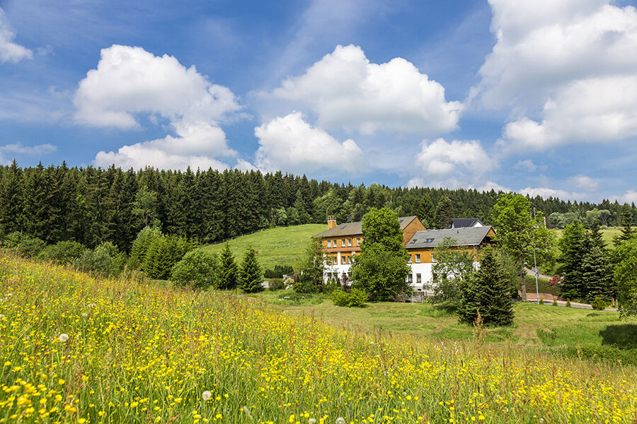 Landhaus Bergidyll Bärenstein Exterior foto